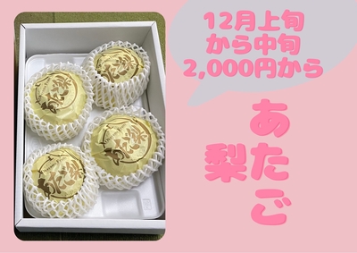 あたご梨 12月上旬から下旬