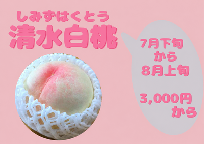 清水白桃　7月下旬から8月上旬