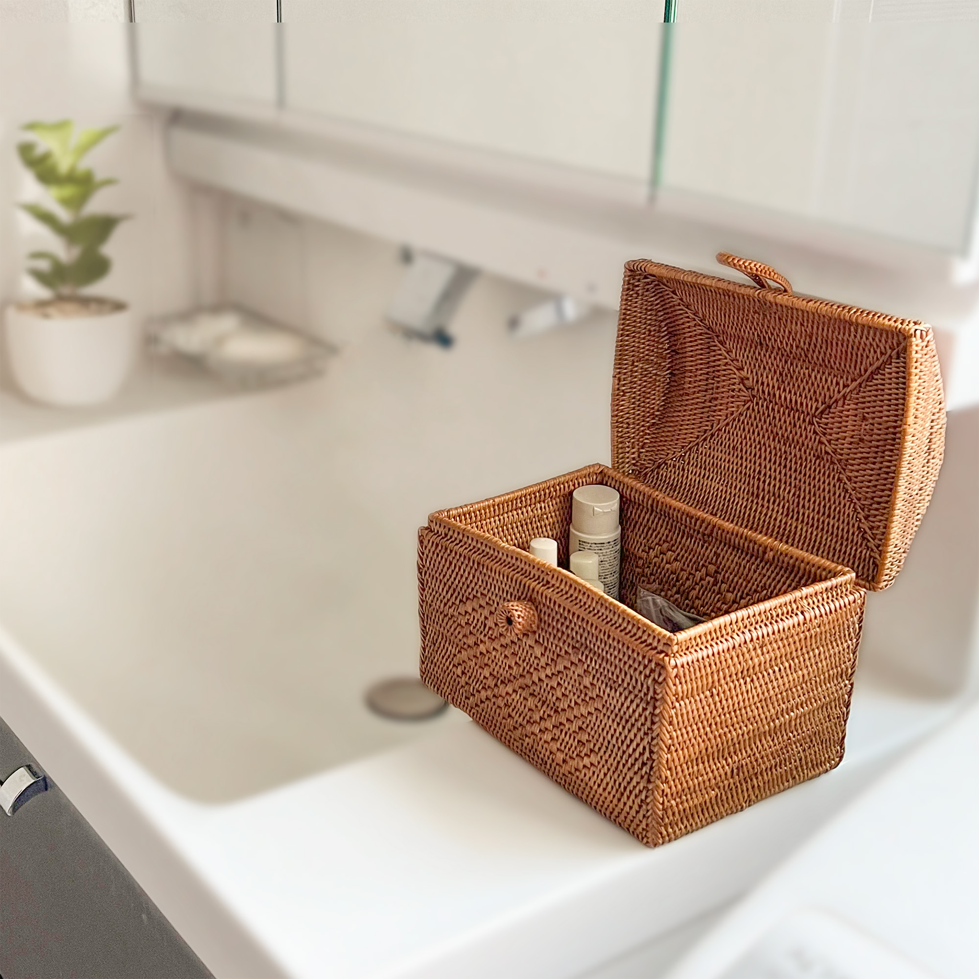 手つきドーム型BOX 07