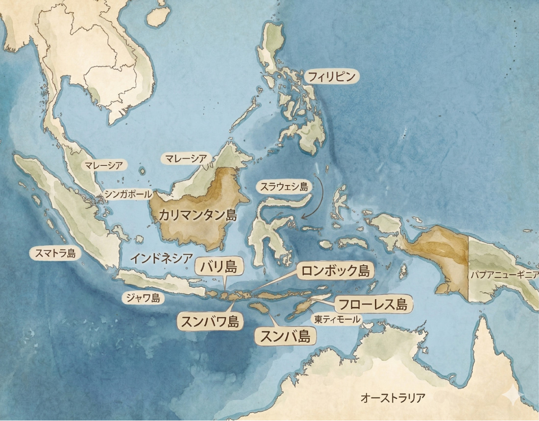 アタの材質と原産地