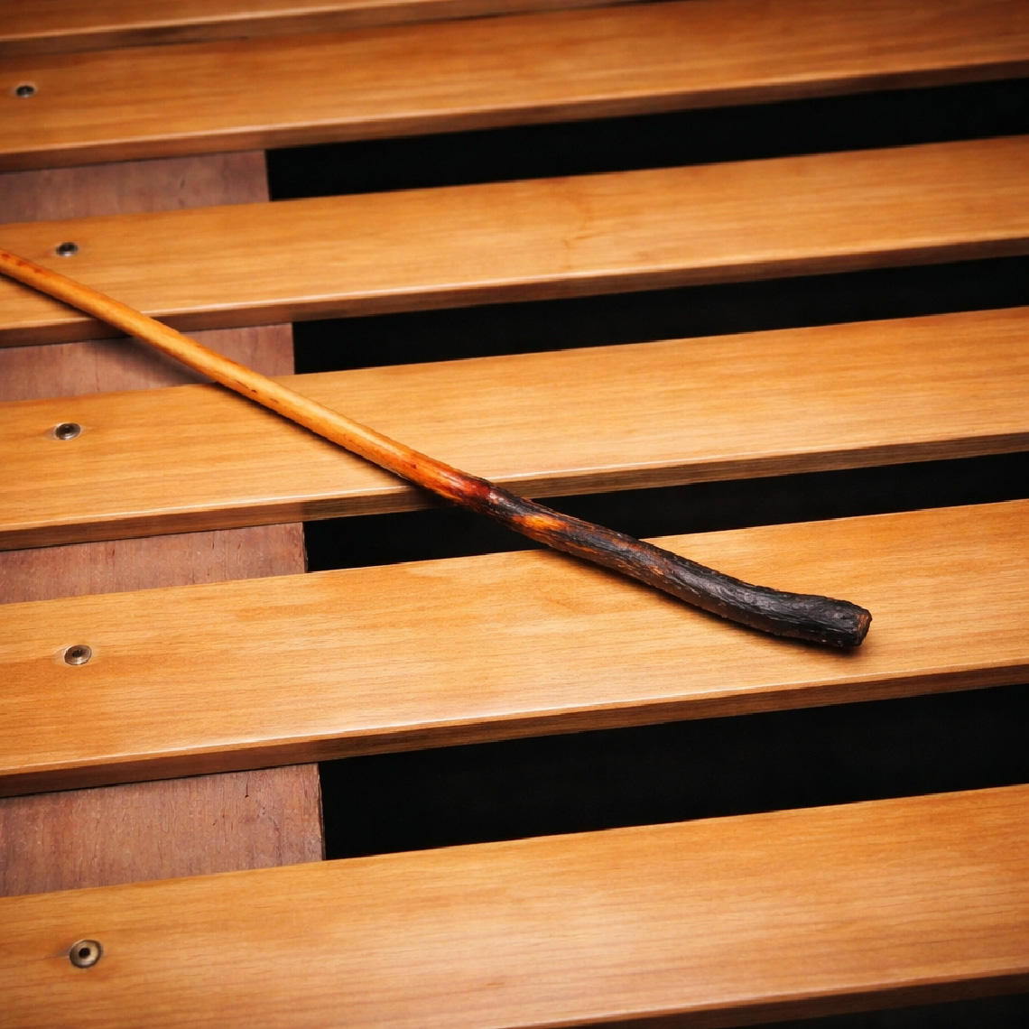 黒材のアップ - 乾くと黒く締まるアタ根元繊維