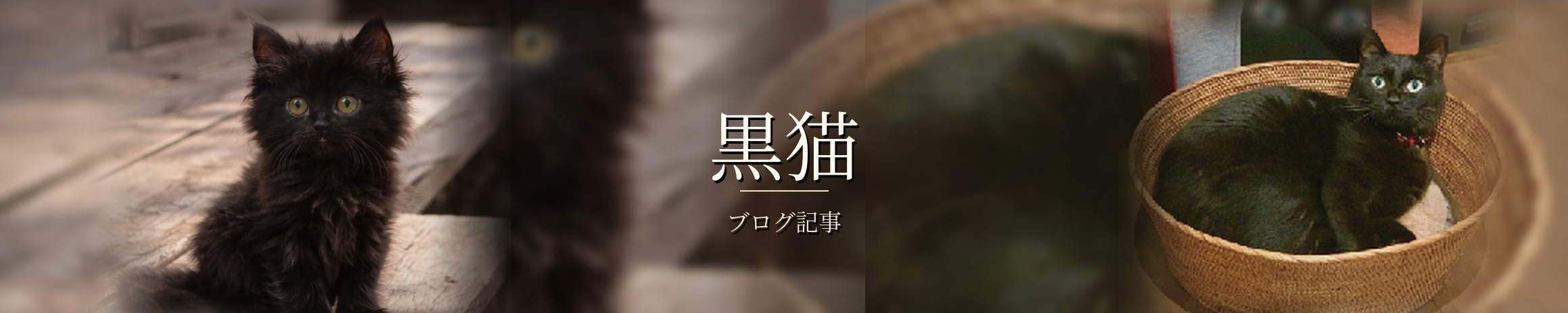 シリーズ：黒猫