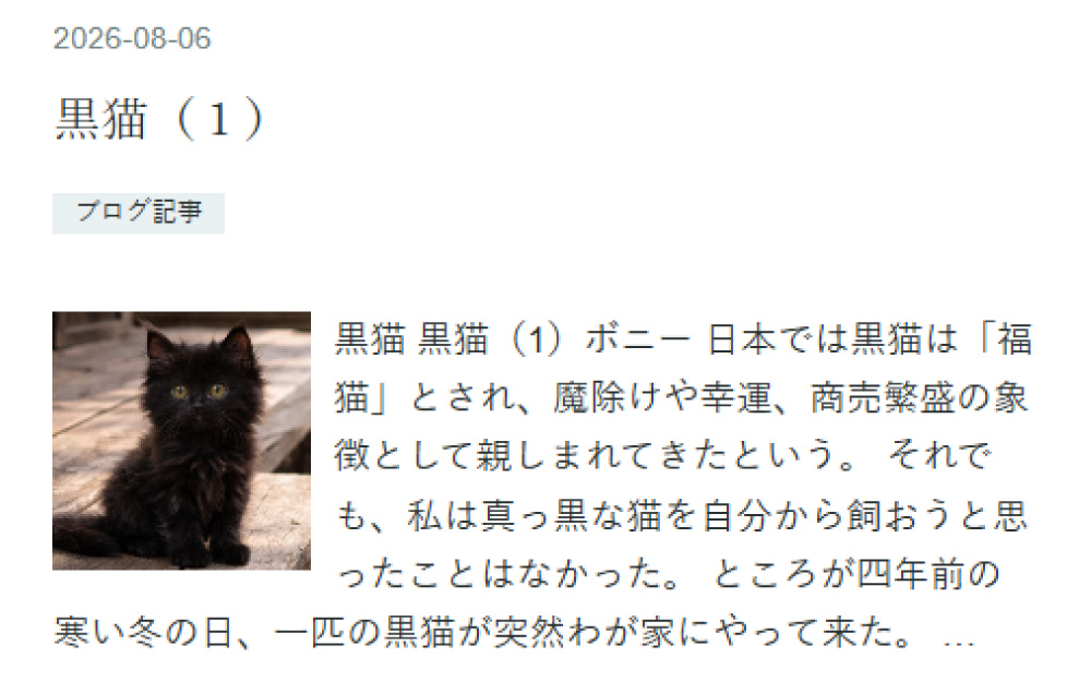 黒猫ブログ記事１