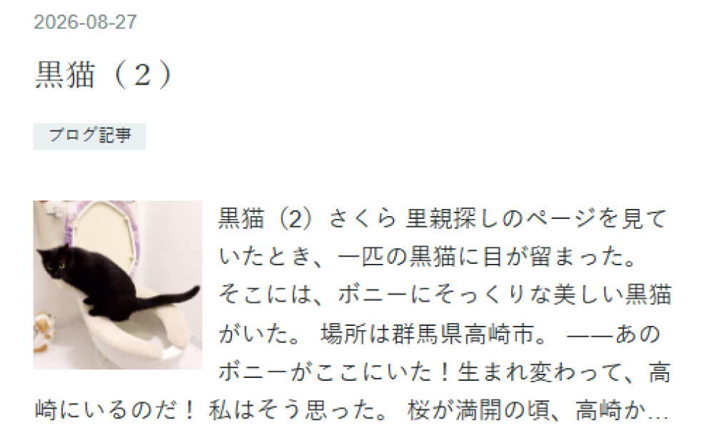 黒猫ブログ記事2