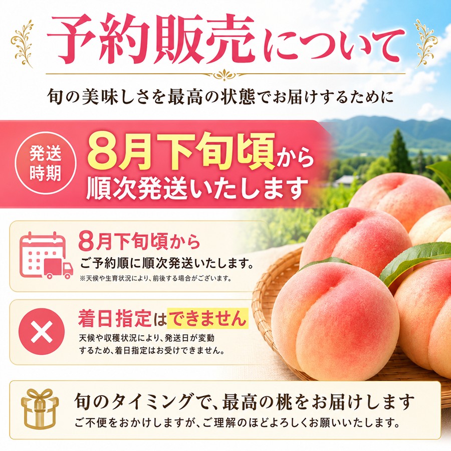 川中島白桃は8月下旬頃から予約順に発送 着日指定不可