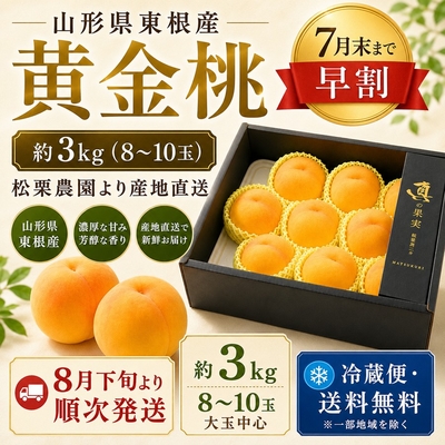 【予約受付中】 黄金桃 約3kg 8～10玉 山形県東根市産 松栗農園 産地直送 送料無料 冷蔵便 大玉 贈答用 黒色化粧箱入り 8月下旬頃より順次発送
