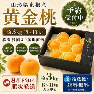 【予約受付中】 黄金桃 約3kg 8～10玉 山形県東根市産 松栗農園 産地直送 送料無料 冷蔵便 大玉 贈答用 黒色化粧箱入り 8月下旬頃より順次発送