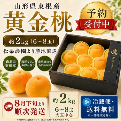 【予約受付中】 黄金桃 約2kg 6～8玉 山形県東根市産 松栗農園 送料無料 冷蔵便 大玉 桃 黄桃 贈答用 黒色化粧箱 産地直送 8月下旬より順次発送