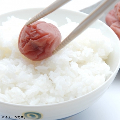 コシヒカリ 無洗米 キューブ 2合(300g) 山形県産 真空パック