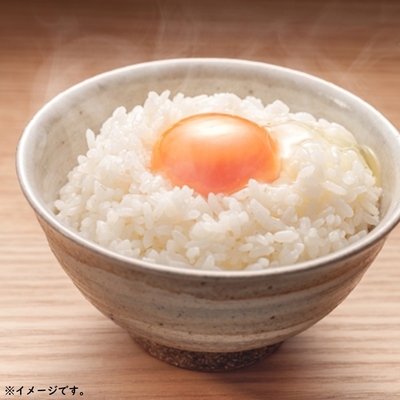 はえぬき 無洗米 キューブ 2合(300g) 山形県産 令和7年産 真空パック