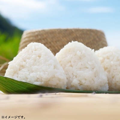 はえぬき 無洗米 キューブ 2合(300g) 山形県産 令和7年産 真空パック