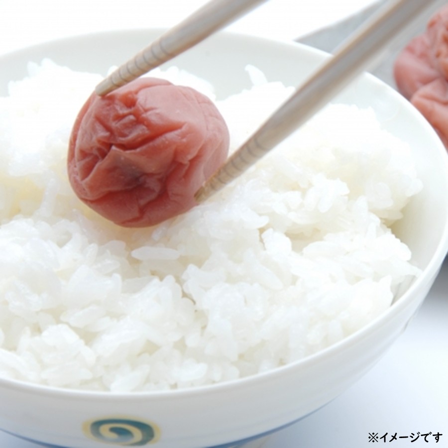 雪若丸 5kg 山形県産 特A7年連続 令和6年産 パールライス ブランド米
