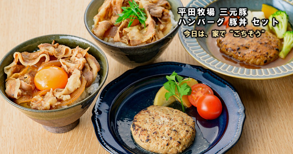 平田牧場 平牧金華豚三元豚 ハンバーグ・豚丼 ギフトセット［CNS25-9