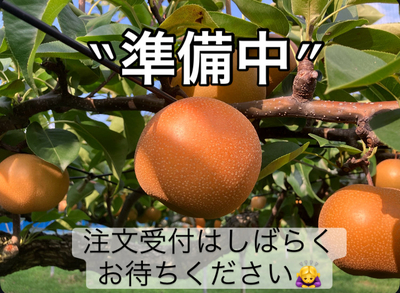 豊水梨 ５kg箱（10～14個）※8/28～9/5