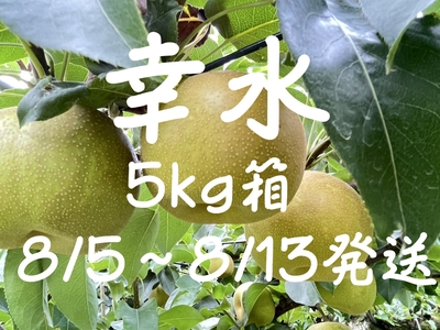 幸水梨５ｋｇ箱（８～１４個）※８/５～８/１３発送