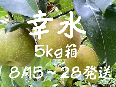幸水梨５ｋｇ（８～１２個）※８/１５～８/２８発送