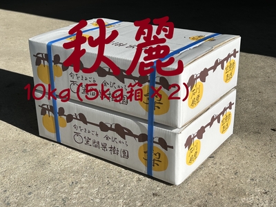 秋麗梨１０ｋｇ｛５ｋｇ（10～14）&times;２箱※８/２５～9/10発送