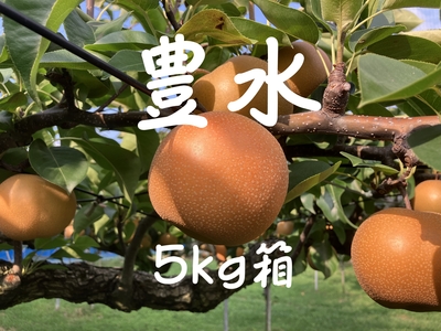 豊水梨５ｋｇ（８～１４個）９/５～９/１５発送