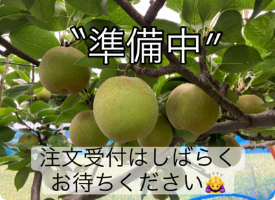 【準備中】甘太梨　５ｋｇ　※９月下旬～１０月上旬