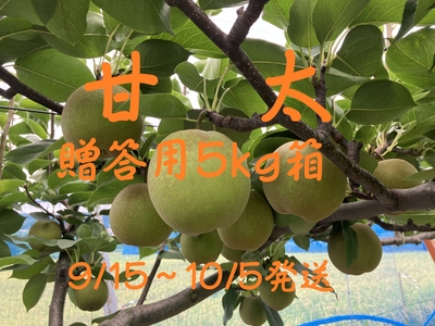 甘太梨　贈答用５ｋｇ　※9/15～10/5