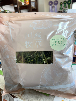 国産 旬のやわらかイタリアンライグラス100ｇ(新パッケージ)