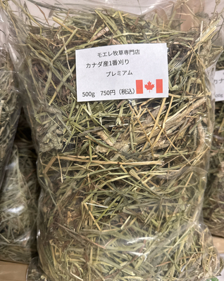 カナダ産プレミアムチモシー500g（茶葉多め、柔らかめ、色薄めで状態あまり良くないカナダ産です）