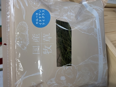 国産 やみつきイタリアンライグラス100ｇ(新パッケージ)