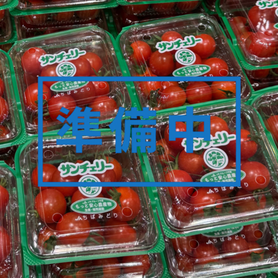 【準備中】ミニトマト（サンチェリー）3パック　11月より