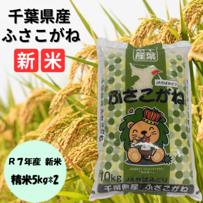 【300袋限定】【送料無料!!】ふさこがね5キロ×２セット