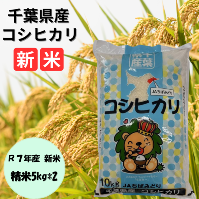 【300袋限定】【送料無料!!】コシヒカリ5キロ×２セット