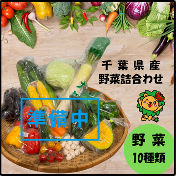 【準備中】野菜BOX詰合せ　10品程度　11月頃より　