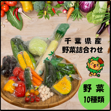 季節の野菜 準備中】野菜BOX詰合せ 10品程度 11月頃より | JAちばみどりストア