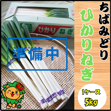 【準備中】ひかりネギ　５kg　12月頃より