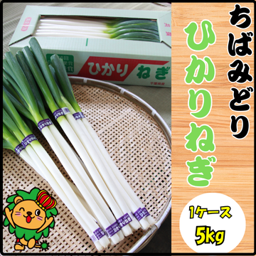 ひかりねぎ　５kg　