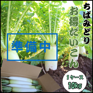 大根　10kg 　11月頃より