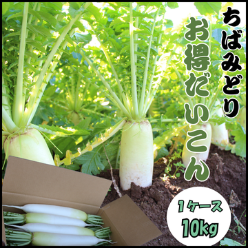 大根　10kg 　