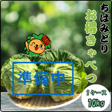 【準備中】キャベツ８玉入り　11月頃より