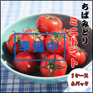 【準備中】ミニトマト　1ケース　６パック　11月より