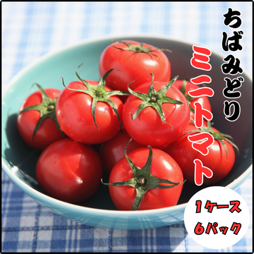 ミニトマト　６パック　