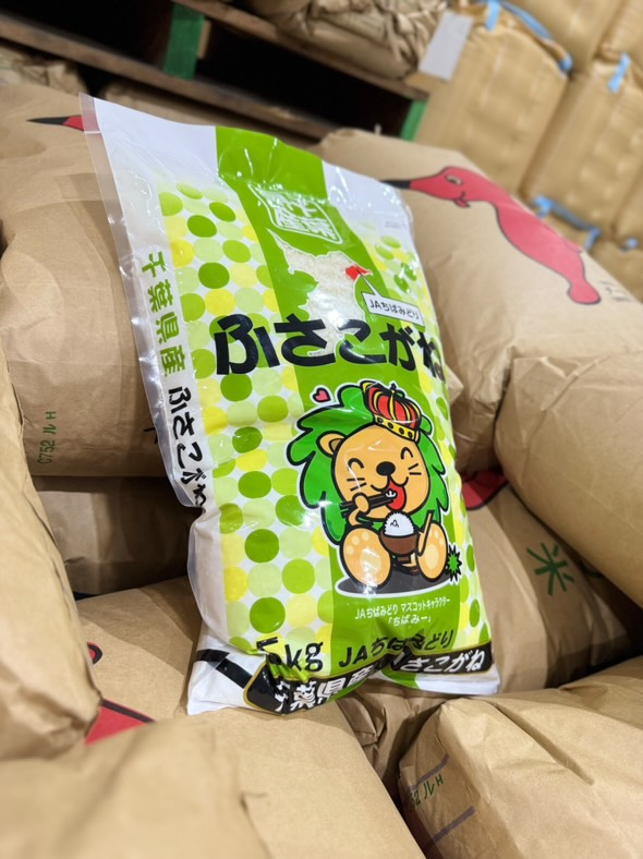 千葉県産 令和7年産新米：ふさこがね | JAちばみどりストア