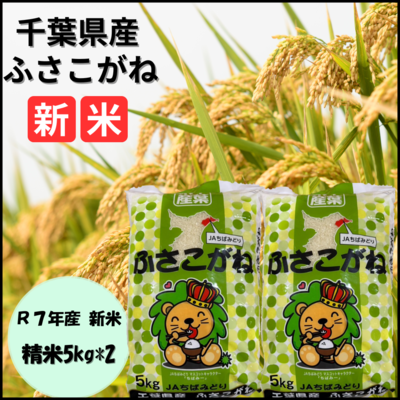 令和7年産 新米　ふさこがね5キロ×２セット
