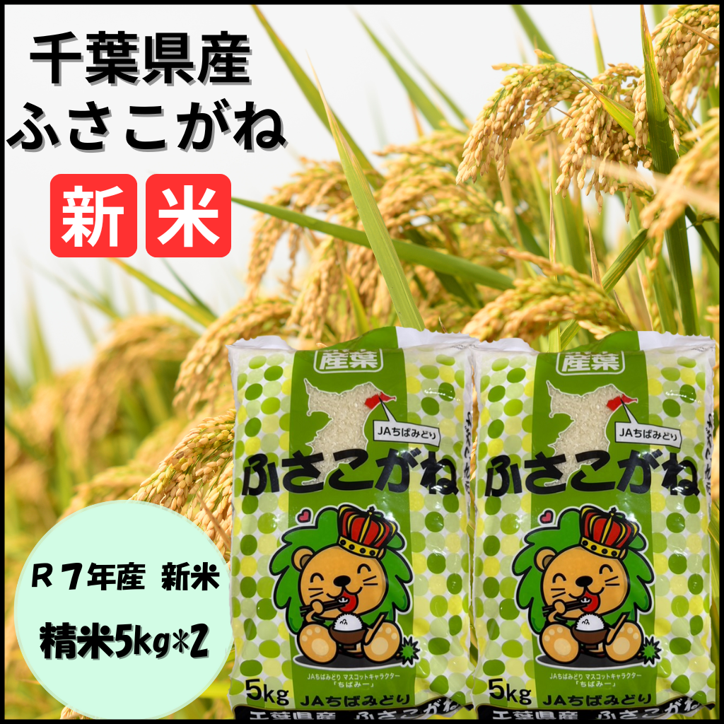 千葉県産 令和7年産新米：ふさこがね | JAちばみどりストア