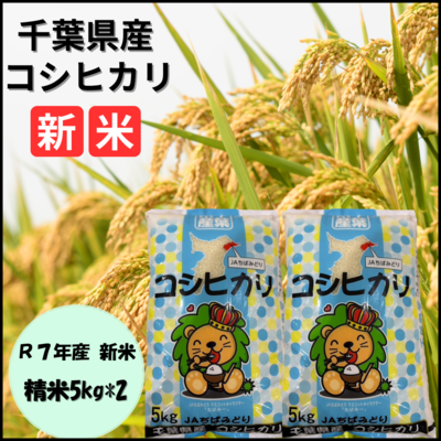 令和7年産新米　コシヒカリ5キロ×２セット
