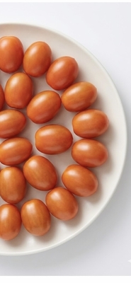 シシリアンルージユ　15袋　4.5㎏　（1袋300ｇ）