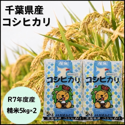 【期間限定 値下げ】令和7年産 コシヒカリ5キロ&times;２袋　１セット