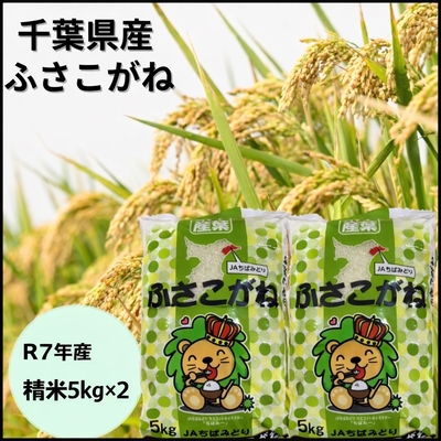 令和7年産  ふさこがね5キロ&times;２袋　１セット