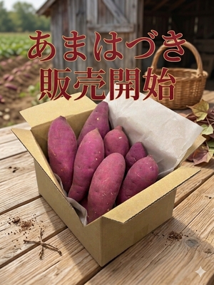 【あまはづき】不揃いサツマイモ  ２kg