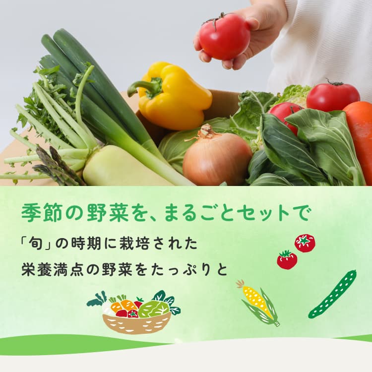 季節の野菜を、まるごとセットで「旬」の時期に栽培された栄養満点の野菜をたっぷりと