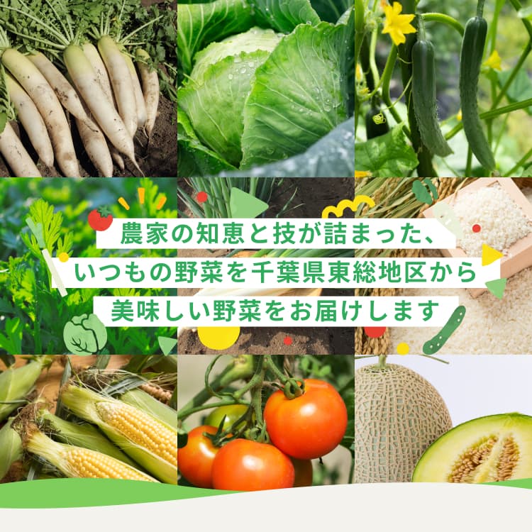 いつもの野菜を千葉県東総地区から美味しい野菜をお届けします