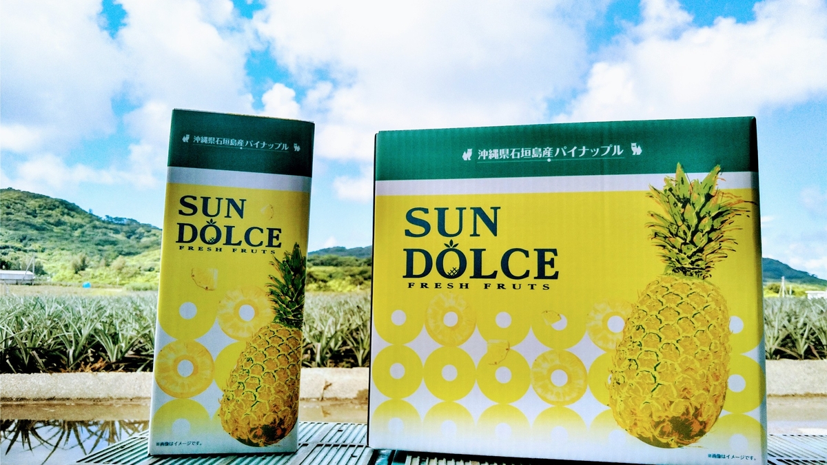 【レア！限定出品】沖縄直送 サンドルチェパイン 5kg　甘さ抜群！ 甘熟 沖縄パイン】甘さきわだつ国産の甘熟パインを沖縄県より